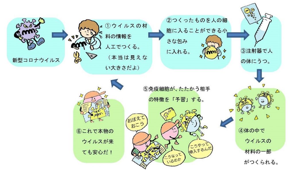 新型コロナウイルスのワクチン接種の意味を一緒に考えよう を公開 一般社団法人知識流動システム研究所